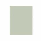 1MIC 3M262X TF SHEET 8.5X11