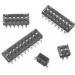 219-2MSTJRF