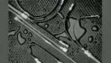 857409-000