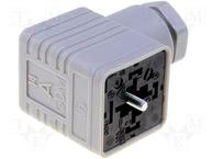 931957106 GDM 2011 GRAU