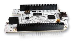 BB-BONE-DVID-02