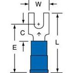 BS-31-4S-NB