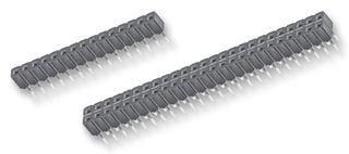 CES-113-01-G-S