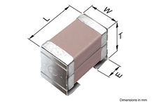 CKG45NX7T2W105M500JJ