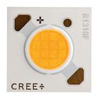 CXB1310-0000-000F0UJ43 0G