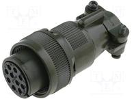 DS3106F-18-1S
