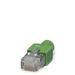 FL PLUG RJ45 GR/2