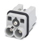 HC-HS 2-D7-ESTS