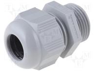 HT M16 RAL7001