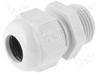 HT M16 RAL7035