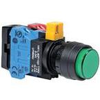 HW1L-A2F20QD-A-12V