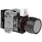HW1L-M1F01QD-Y-120V