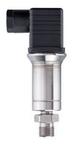 ILSEU-GI048-D