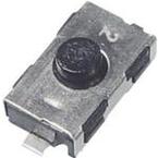 KSR213GLFG