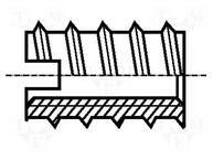 M5/BN242