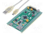 MIKROBOARD FOR ARM 64-PIN