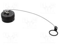 MP-25043-13L