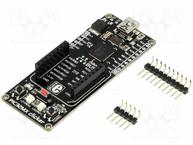 PIC32MX CLICKER