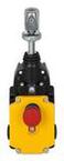 PSEN RS1.0-300