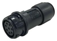PXP4011/08S/5055