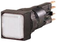 Q25LF-WS