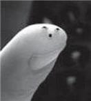 SM06103395