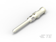 T2020001008-000