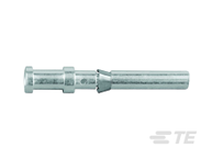 T2020002005-000