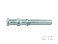 T2020002008-000