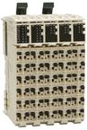 TM5C