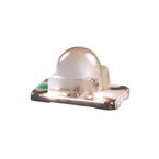 XZMDKDGK55W-8RT